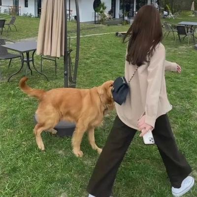 飞吧!